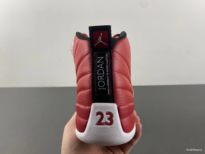 Kick Theory Alternate Air Jordan 130690-600 12 0807